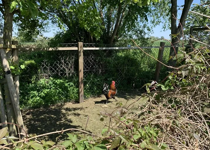 Appartement Horizont *